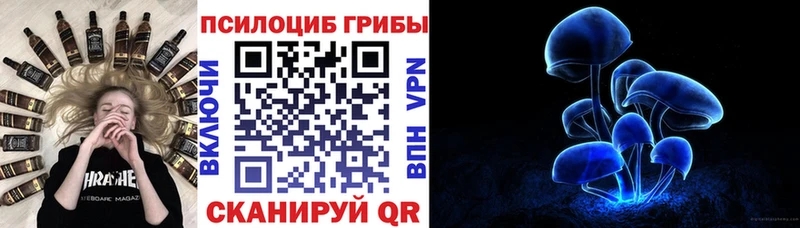 Псилоцибиновые грибы мухоморы  нарко площадка какой сайт  Светлоград 
