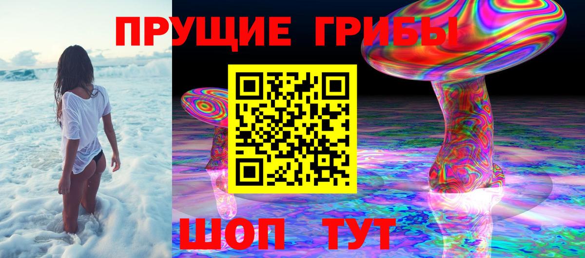 Светлоград  Псилоцибиновые грибы ЛСД  Вход с VPN 