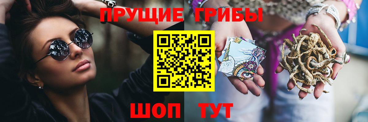 Галлюциногенные грибы прущие грибы Светлоград